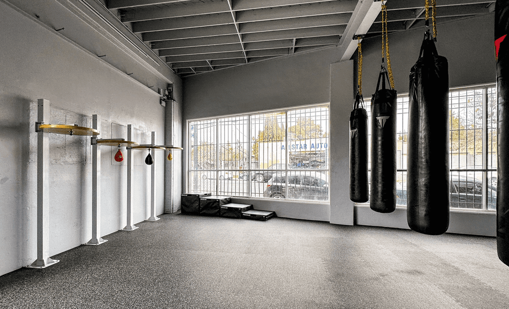 gopa boxing club - facility interior