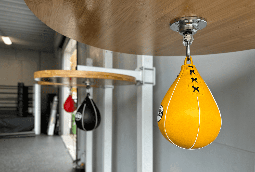 gopa boxing club - facility interior